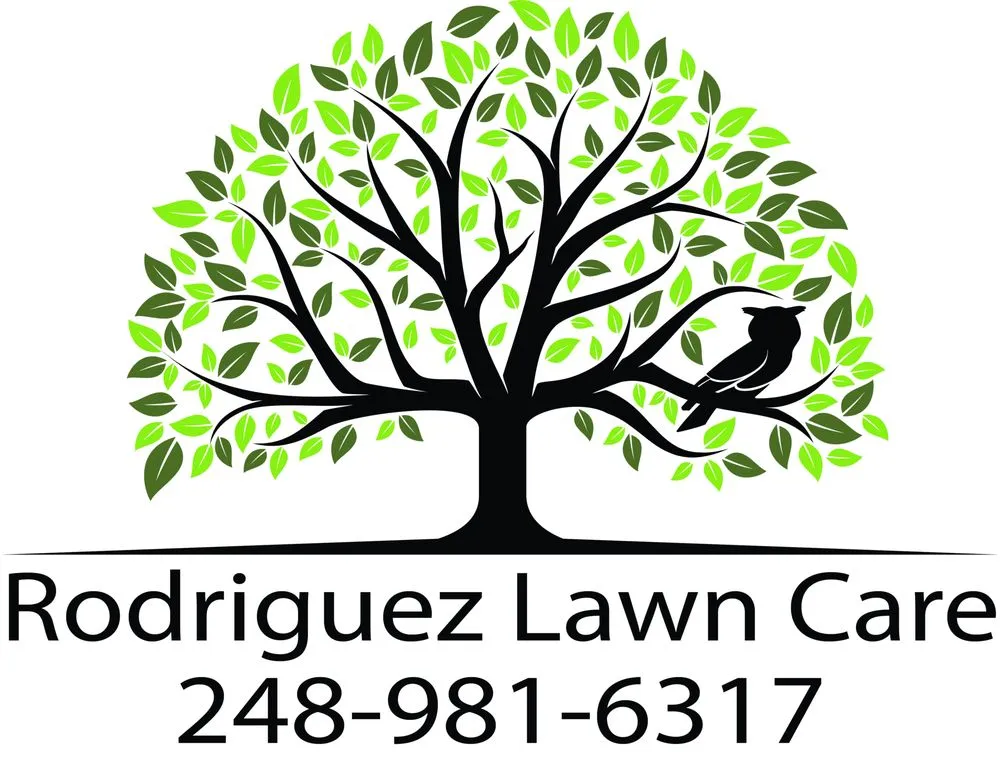 Expert lawn care service for beautiful yards across Pontiac, MI - Rodriguez Lawn Care