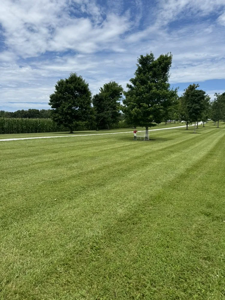 Expert yard cleanup service with custom design in Russellville, KY by Rodriguez Lawn Care