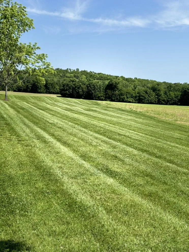Professional landscape design in Russellville, KY by Rodriguez Lawn Care