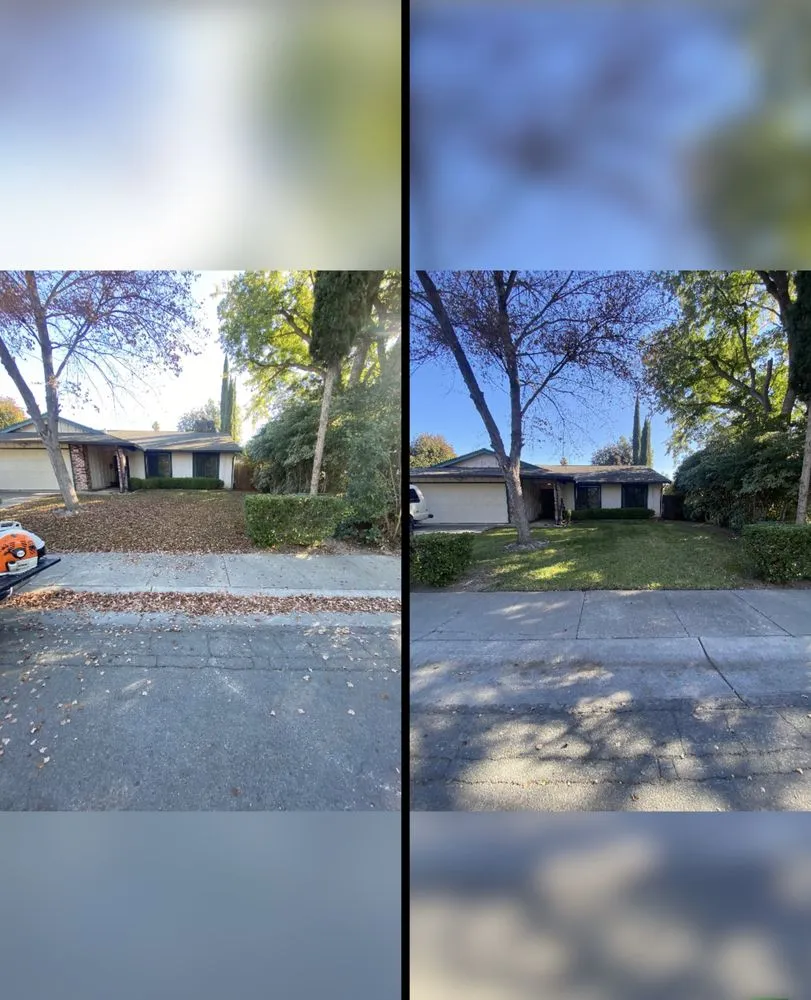 Expert garden landscaping in Sacramento, CA - Rodriguez Lawn Care Services