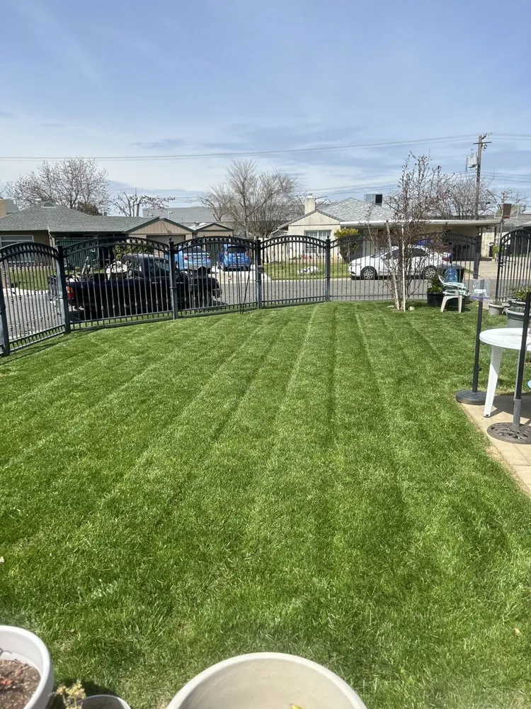 Expert landscape installation in Sacramento, CA - Rodriguez Lawn Care Services