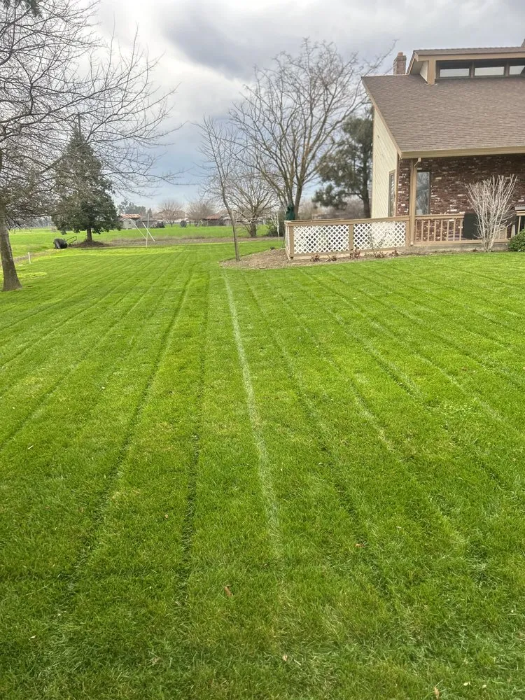 Professional landscape installation near you in Sacramento, CA by Rodriguez Lawn Care Services