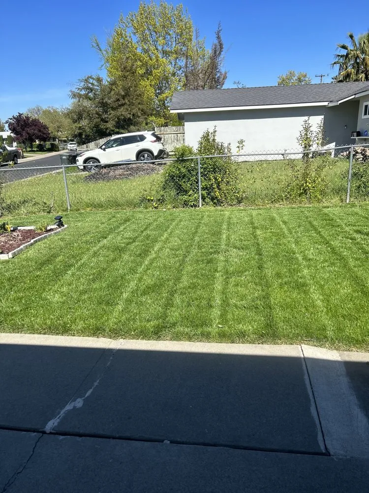 Custom lawn care service in Sacramento, CA by Rodriguez Lawn Care Services