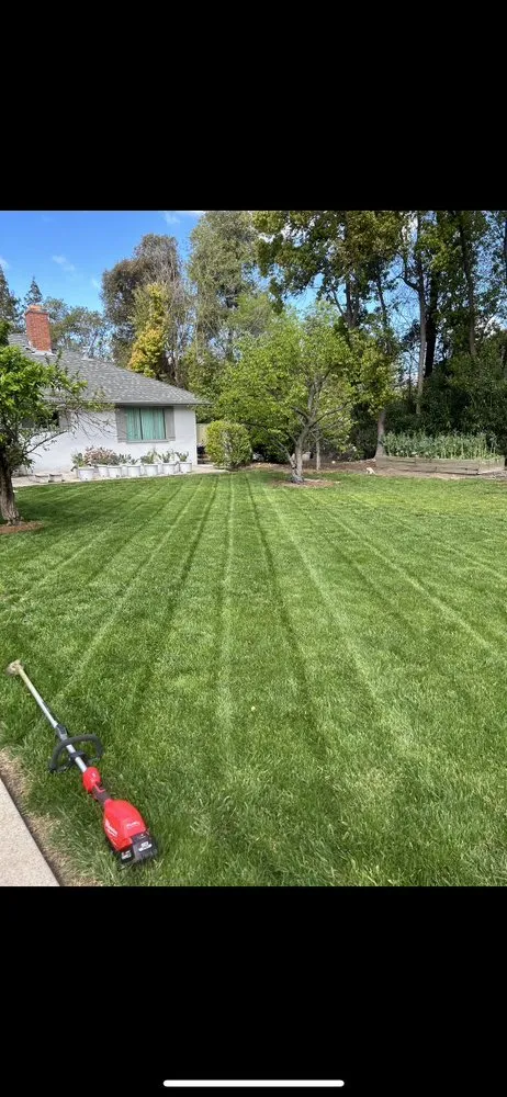 Top-rated lawn care service for outdoor upgrades in Sacramento, CA by Rodriguez Lawn Care Services