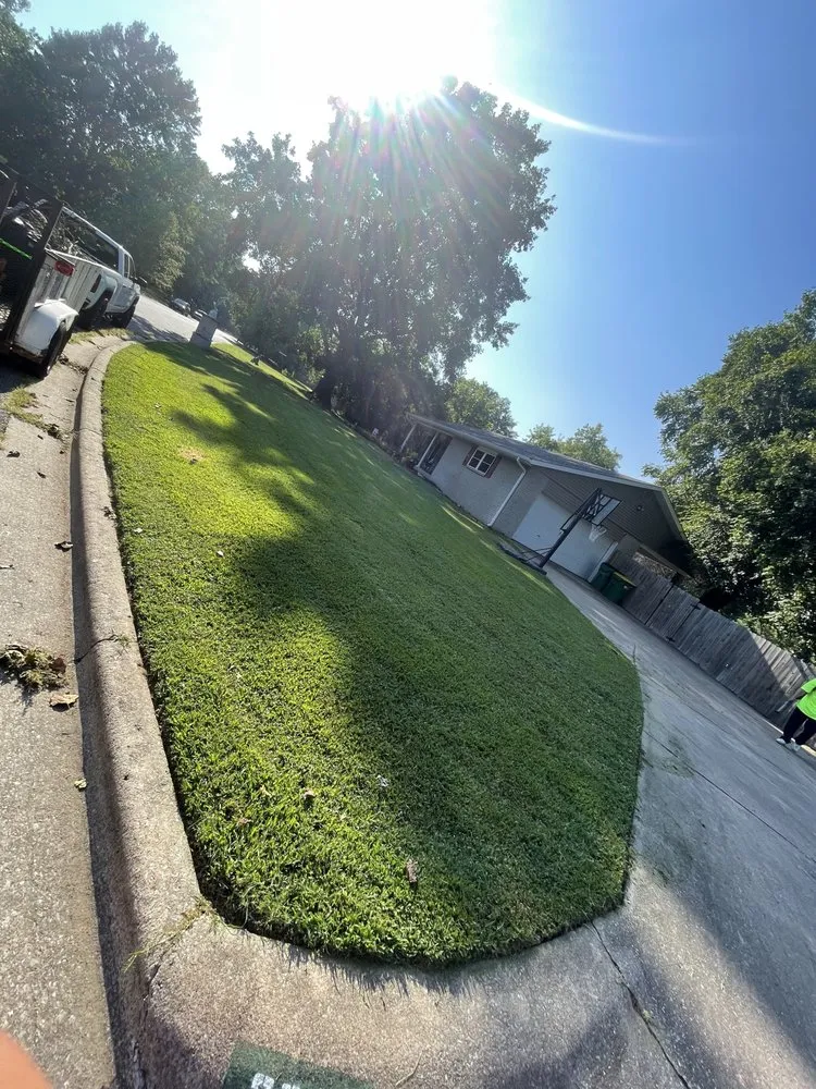 Custom yard maintenance for outdoor upgrades across Springdale, AR - Rodriguez Lawn Care