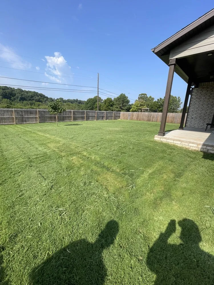 Custom yard cleanup service experts serving Springdale, AR - Rodriguez Lawn Care