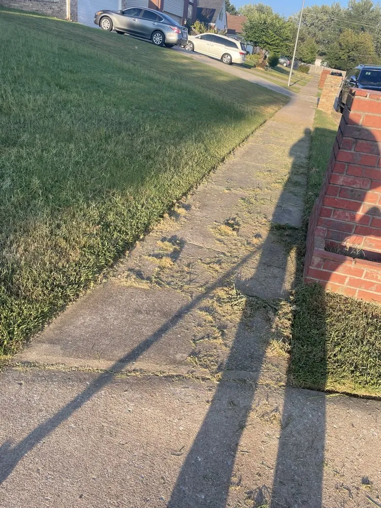 Reliable yard cleanup service experts serving Springdale, AR - Rodriguez Lawn Care