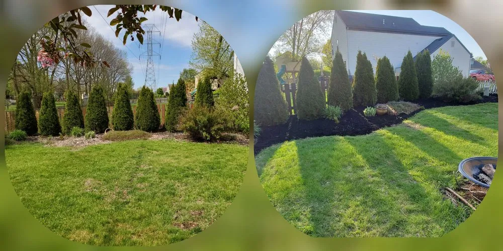 Reliable yard cleanup service experts serving Upper Arlngtn, OH - Rodriguez Lawn Care
