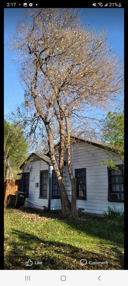 Top-rated lawn care service in Waco, TX - Rodriguez Lawn Care