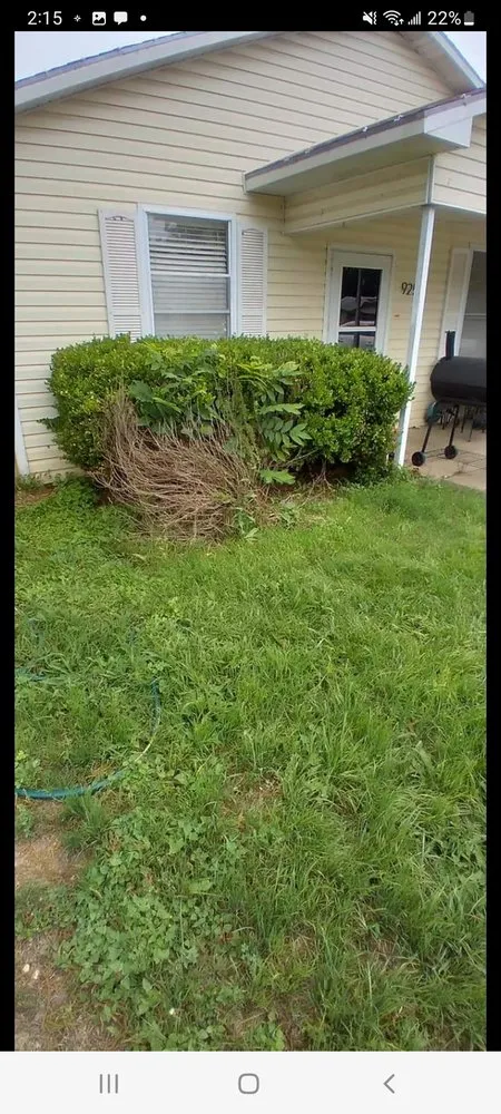 Expert landscaping services experts serving Waco, TX - Rodriguez Lawn Care