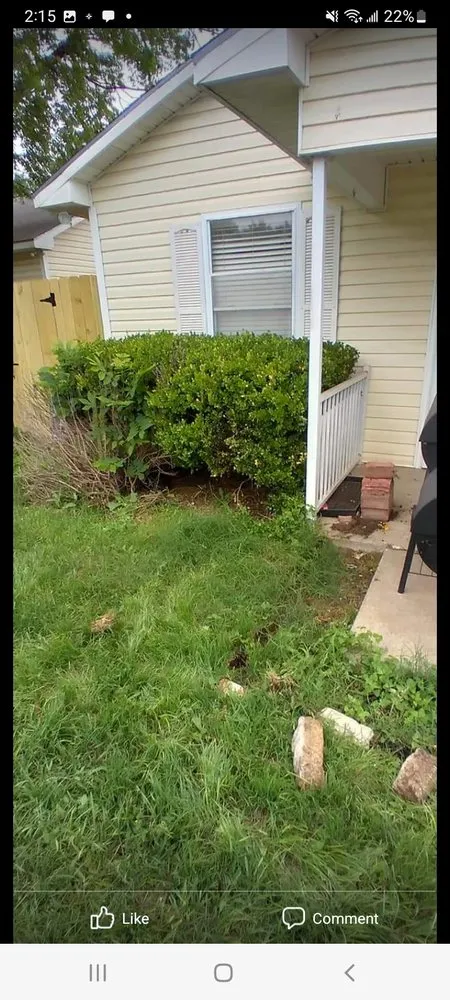 Professional yard cleanup service in Waco, TX - Rodriguez Lawn Care