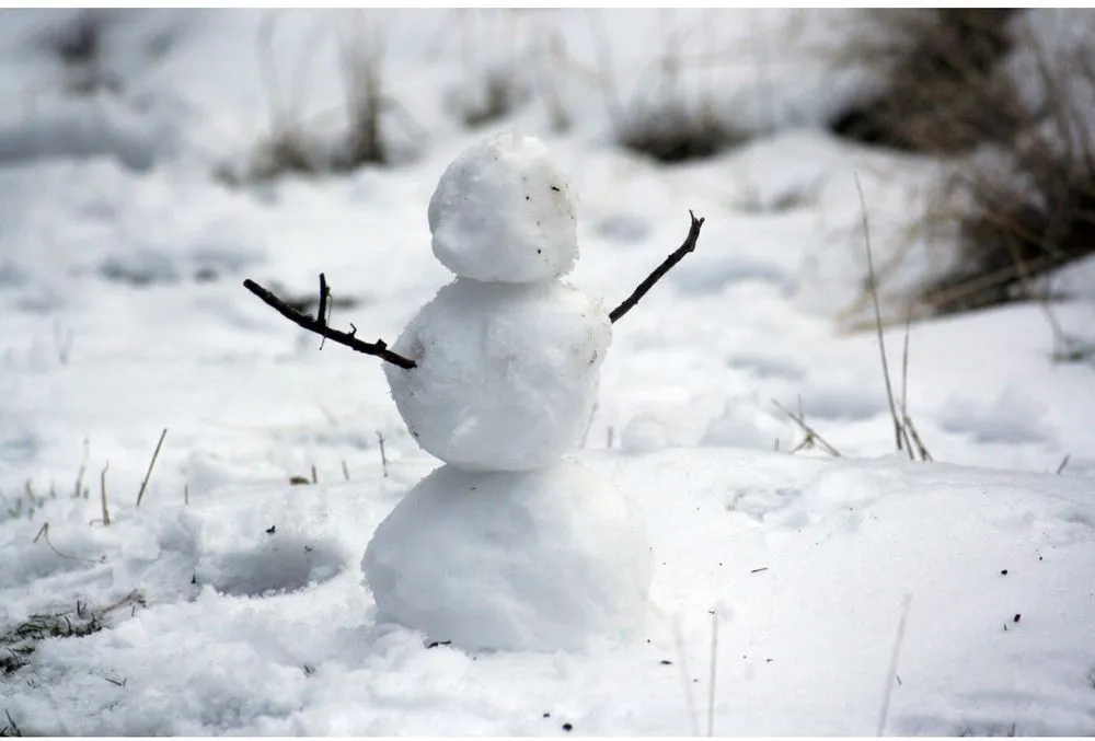 Affordable outdoor landscaping experts serving Blue Springs, MO - Rodriguez Lawn Service