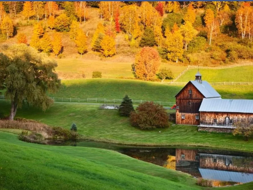 Professional landscape design in Blue Springs, MO - Rodriguez Lawn Service