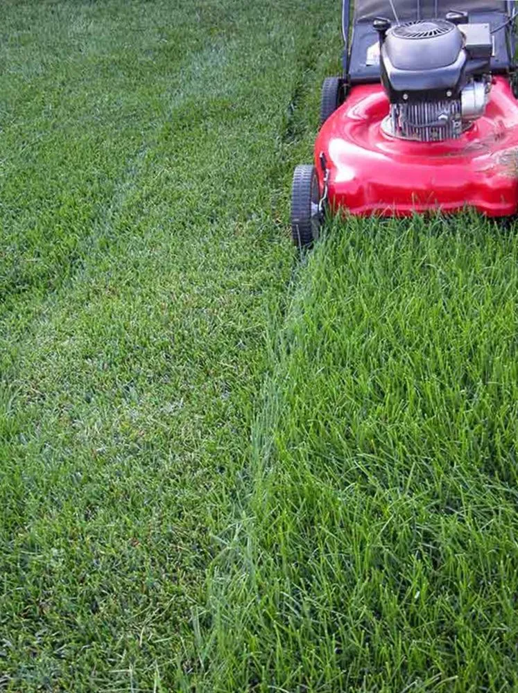 Local lawn mowing service near you across Blue Springs, MO - Rodriguez Lawn Service