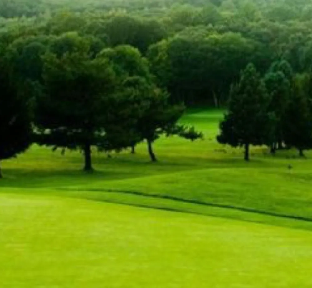 Affordable lawn care service experts serving Blue Springs, MO - Rodriguez Lawn Service