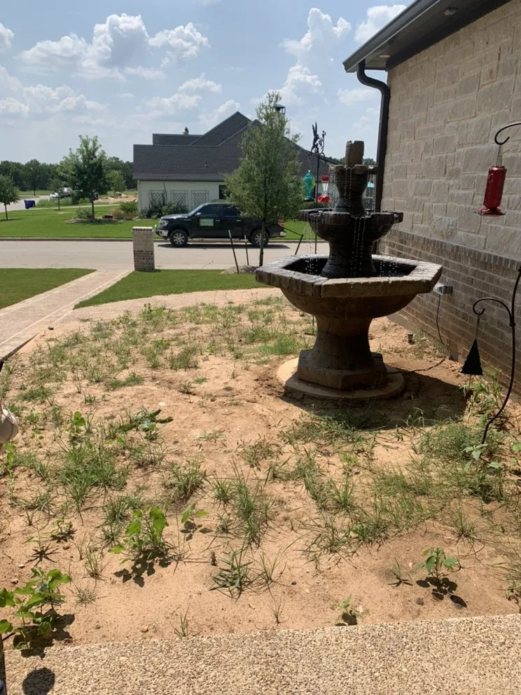 Top-rated lawn care service for year-round maintenance in China Spring, TX by Rodriguez Lawn Service