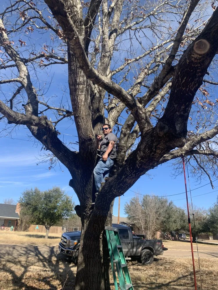 Reliable residential landscaping for homes across China Spring, TX - Rodriguez Lawn Service