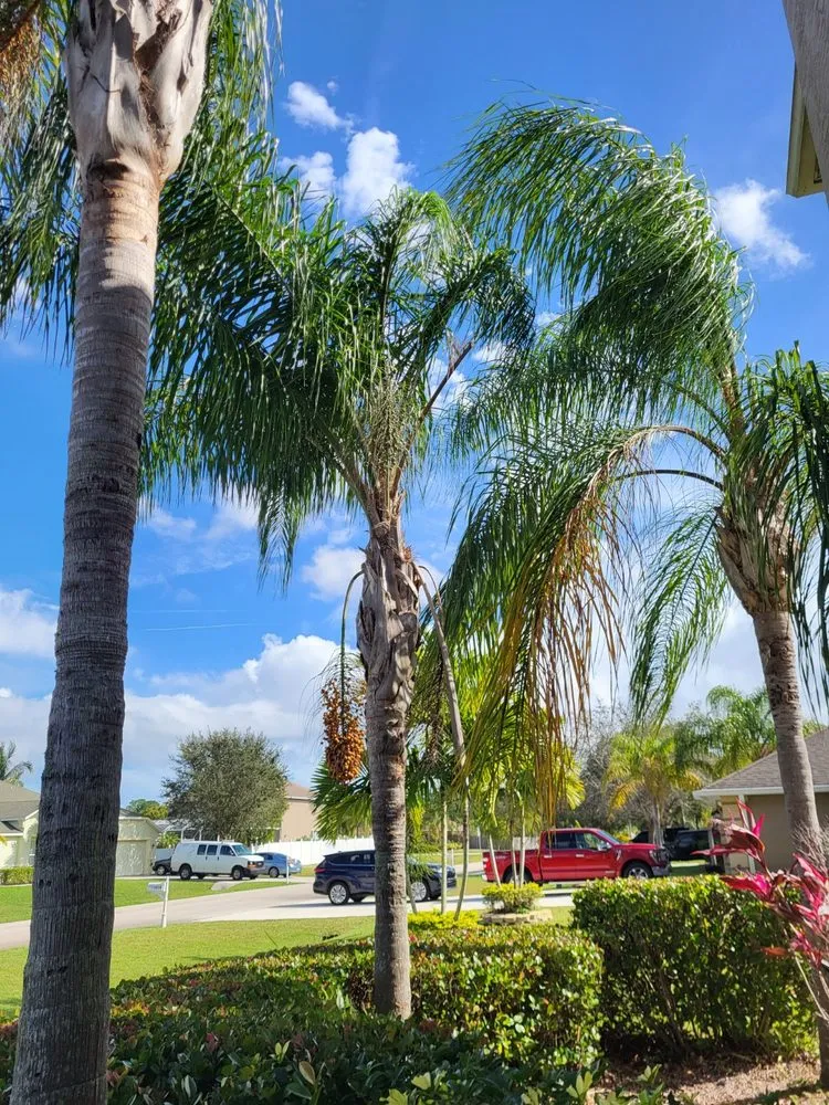 Reliable landscape installation for year-round maintenance in Fort Pierce, FL by Rodriguez Lawn Service