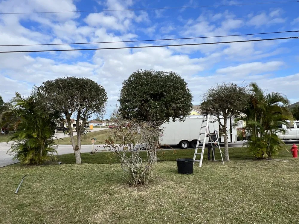 Professional garden landscaping in Fort Pierce, FL - Rodriguez Lawn Service