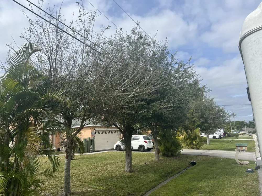 Reliable landscaping services in Fort Pierce, FL by Rodriguez Lawn Service