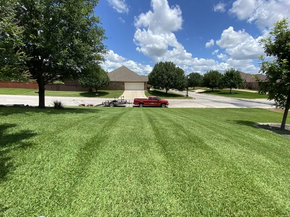 Top-rated yard cleanup service in Temple, TX by Rodriguez Lawn Service