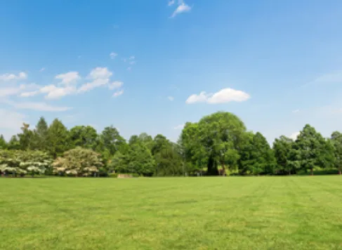 Professional landscape installation near you in Temple, TX by Rodriguez Lawn Service