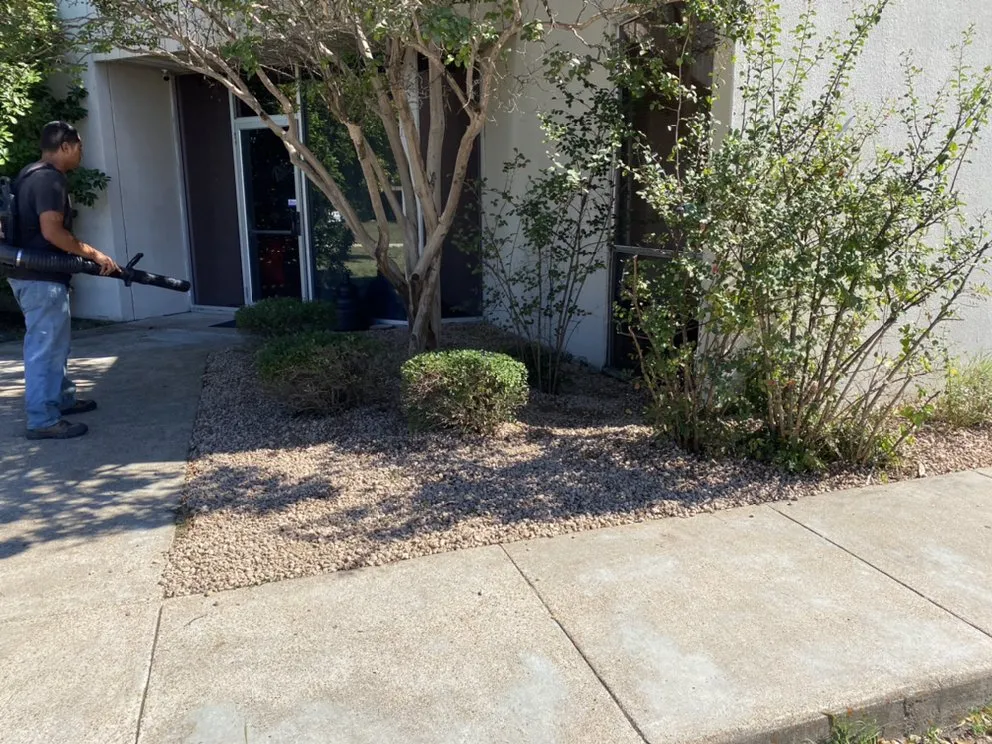 Expert garden landscaping for year-round maintenance across Temple, TX - Rodriguez Lawn Service