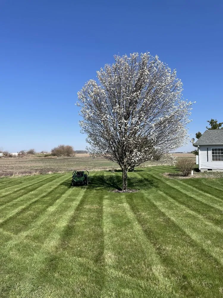 Professional residential landscaping in Lebanon, IN - Rodriguez Lawn Services