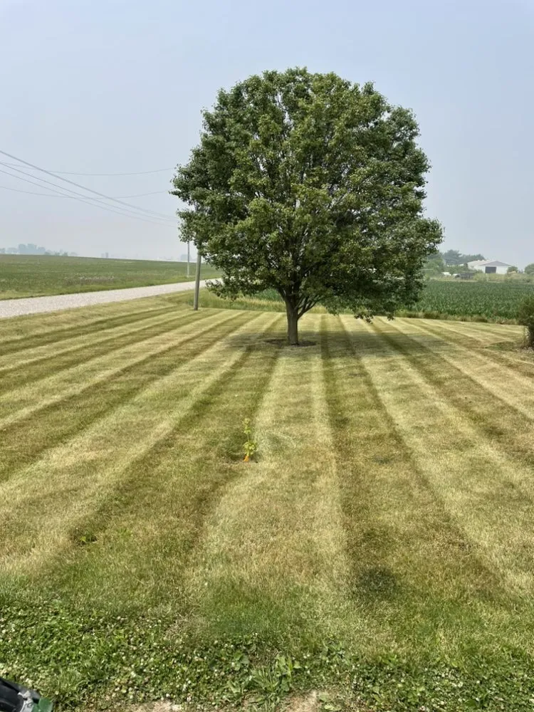 Reliable residential landscaping in Lebanon, IN by Rodriguez Lawn Services