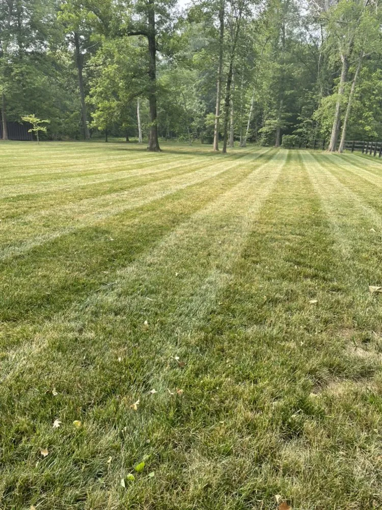 Custom lawn care service experts serving Lebanon, IN - Rodriguez Lawn Services