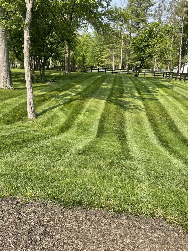 Affordable yard cleanup service for year-round maintenance across Lebanon, IN - Rodriguez Lawn Services