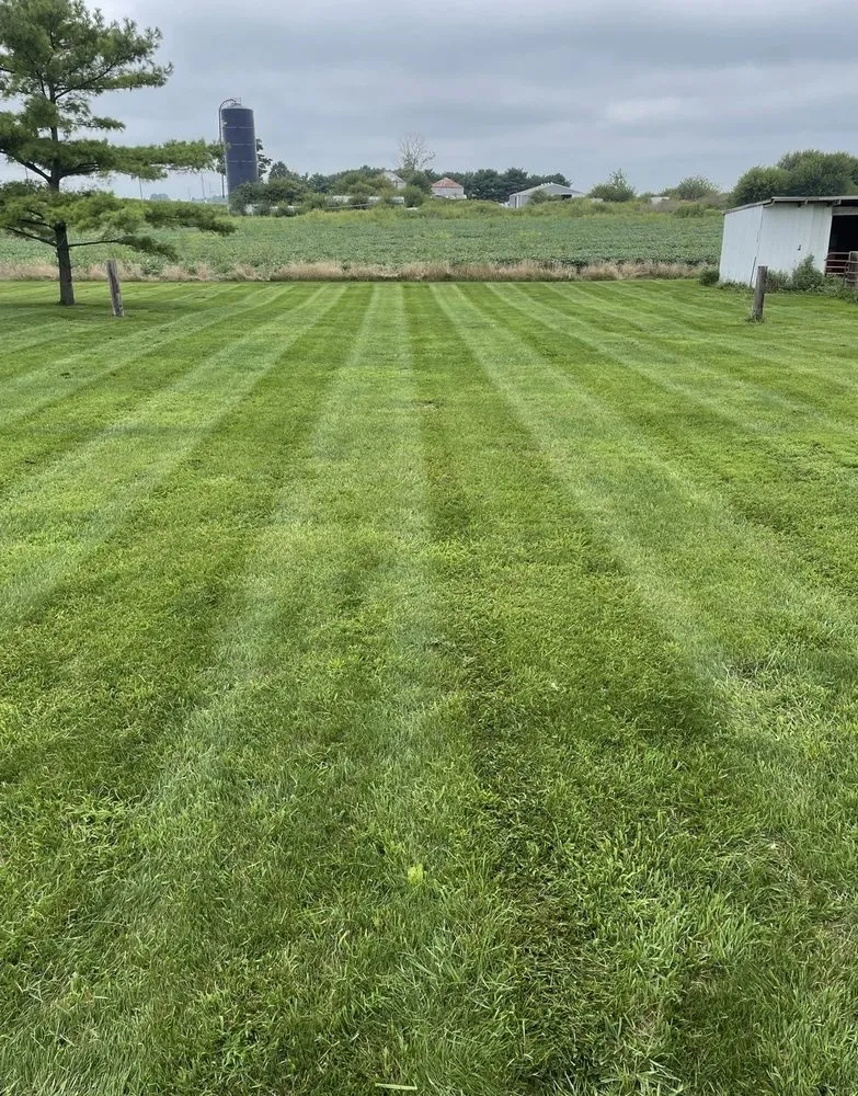Professional lawn care service in Lebanon, IN by Rodriguez Lawn Services