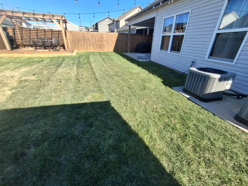 Custom yard maintenance in Springfield, TN - Rodriguez Lawncare & Services