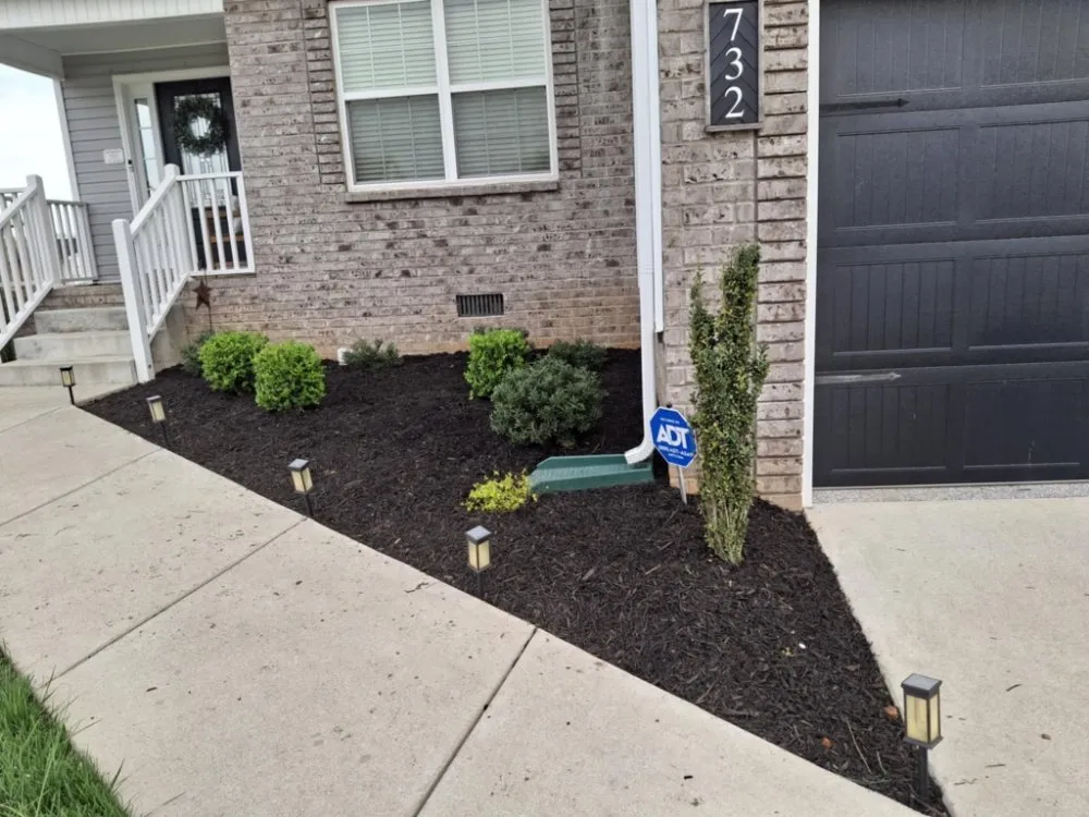 Affordable yard cleanup service for outdoor upgrades in Springfield, TN by Rodriguez Lawncare & Services