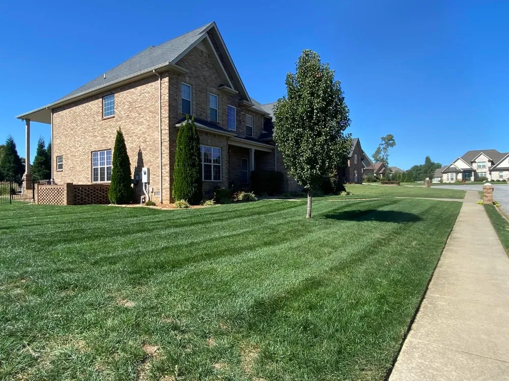 Top-rated landscape installation experts serving Springfield, TN - Rodriguez Lawncare & Services