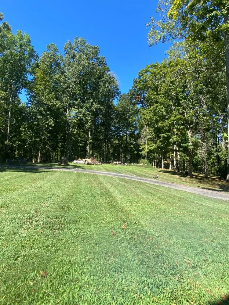 Affordable lawn care service for beautiful yards in Springfield, TN by Rodriguez Lawncare & Services