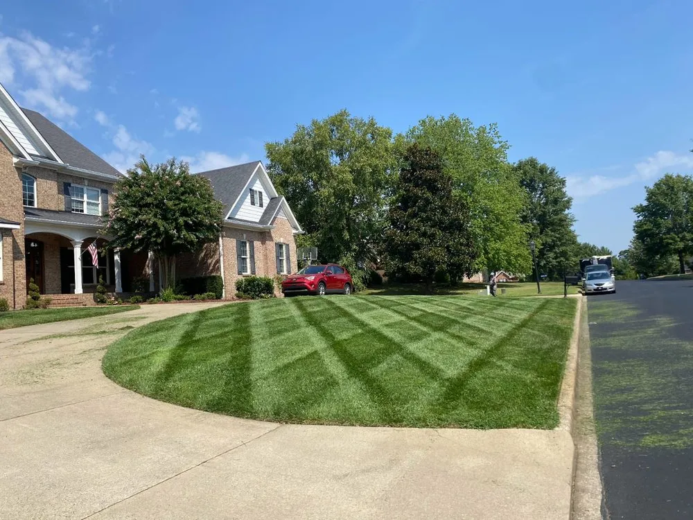 Reliable landscaping services in Springfield, TN - Rodriguez Lawncare & Services