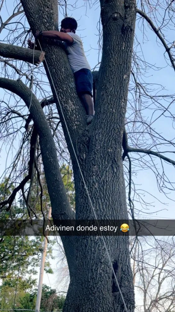 Trusted lawn mowing service experts serving Perry, IA - Rodriguez Lawncare