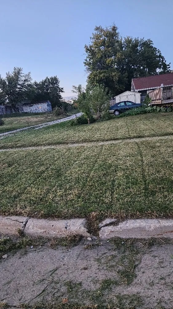 Affordable yard cleanup service experts serving Perry, IA - Rodriguez Lawncare