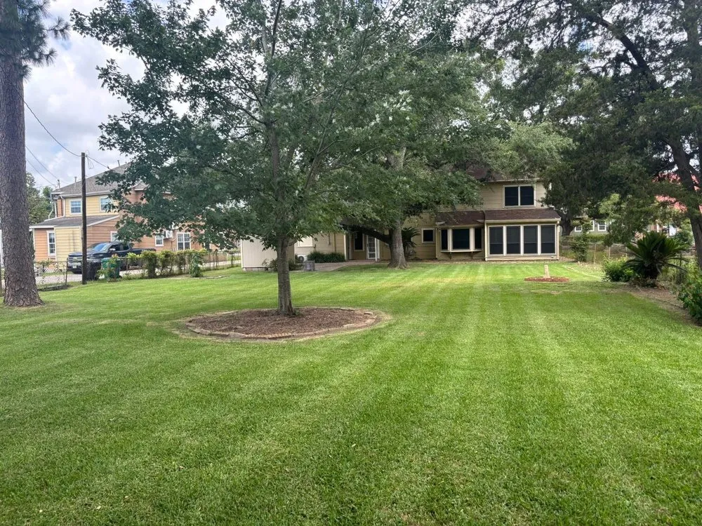 Professional lawn care service for beautiful yards in Pasadena, TX by Rodriguez Lawncare Service