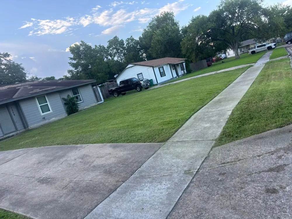 Affordable yard cleanup service for year-round maintenance in Pasadena, TX by Rodriguez Lawncare Service
