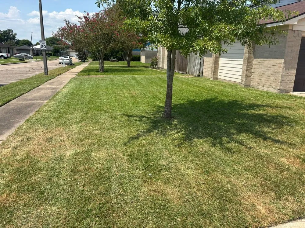Reliable lawn mowing service experts serving Pasadena, TX - Rodriguez Lawncare Service