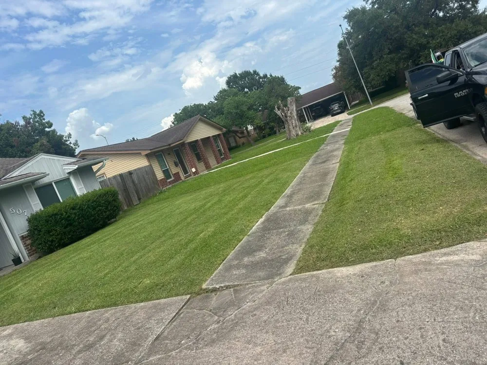 Top-rated yard cleanup service for year-round maintenance across Pasadena, TX - Rodriguez Lawncare Service