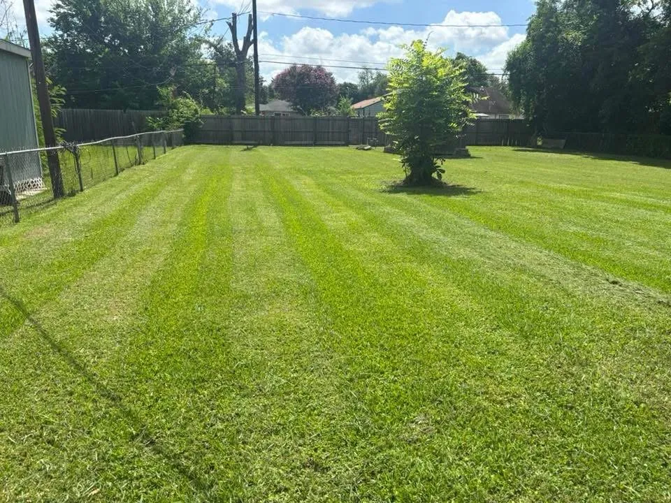 Reliable outdoor landscaping for beautiful yards across Pasadena, TX - Rodriguez Lawncare Service