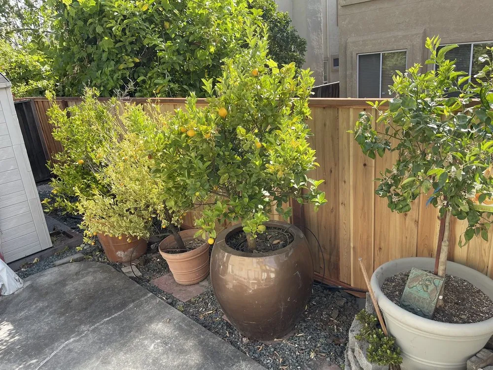 Affordable landscape design experts serving Oakland, CA - Rodriguez Maintenance & Landscaping