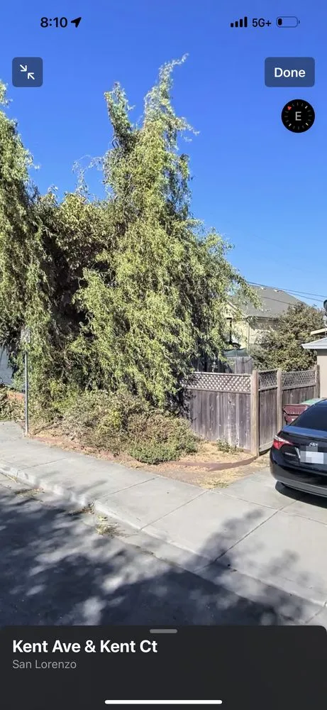 Professional landscape design for homes in Oakland, CA by Rodriguez Maintenance & Landscaping