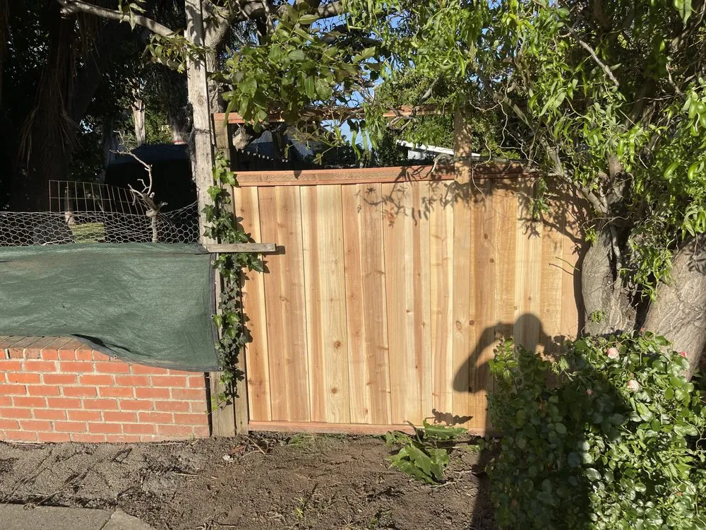 Professional landscape installation in Oakland, CA - Rodriguez Maintenance & Landscaping