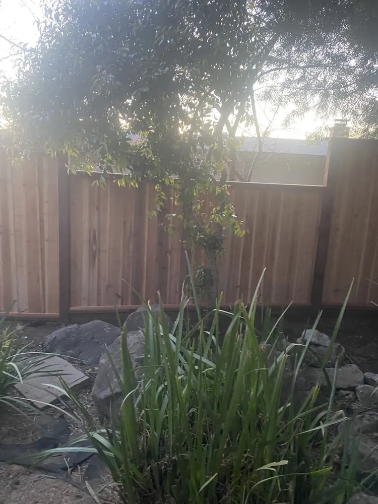 Trusted yard maintenance in Oakland, CA by Rodriguez Maintenance & Landscaping