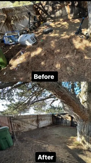 Trusted landscape installation near you in Quincy, WA by Rodriguez Multi-Services