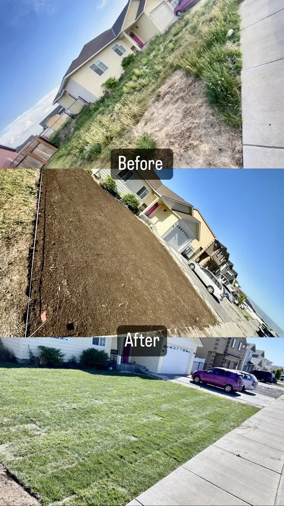 Reliable yard cleanup service in Quincy, WA by Rodriguez Multi-Services